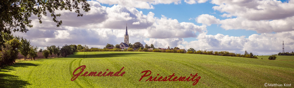 Priestewitz